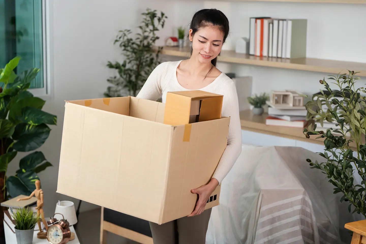 Transport Hintergrund